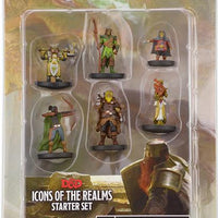 ICONS OF THE REALMS: STARTER SET